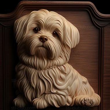 3D model st Maltese Lapdog dog (STL)